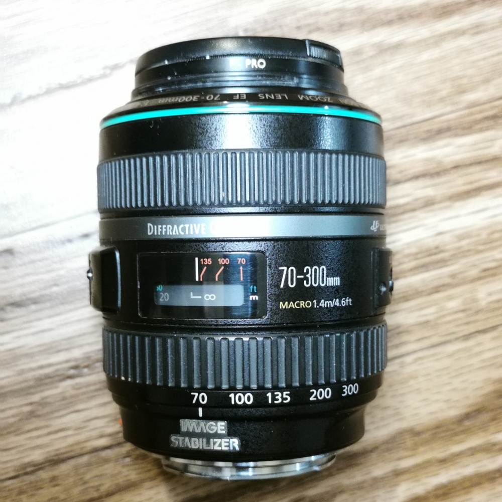 Canon EF 70-300mm DO IS
